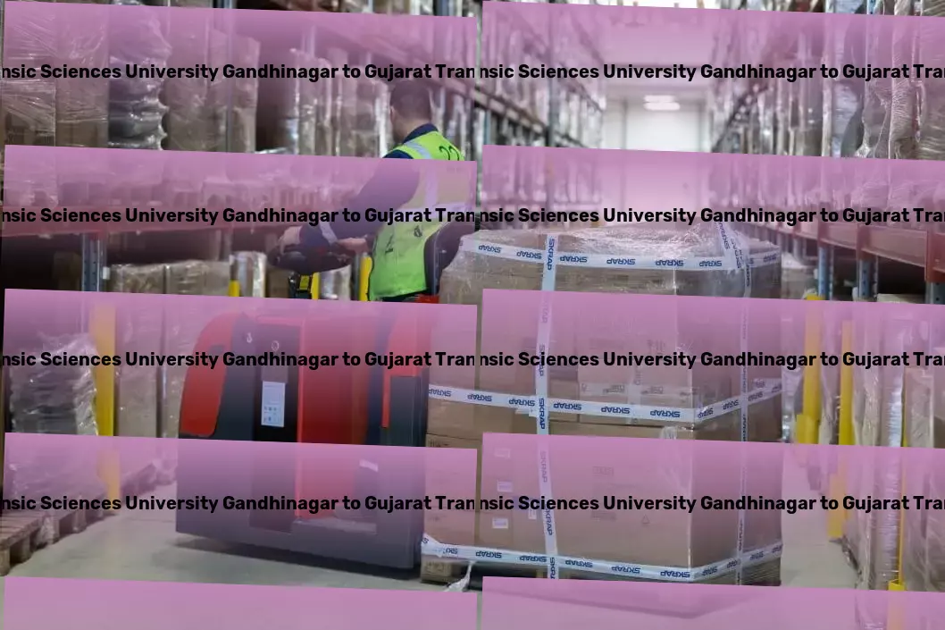 National Forensic Sciences University Gandhinagar to Gujarat Bike Transport And Scooty Courier Rapid logistics solutions