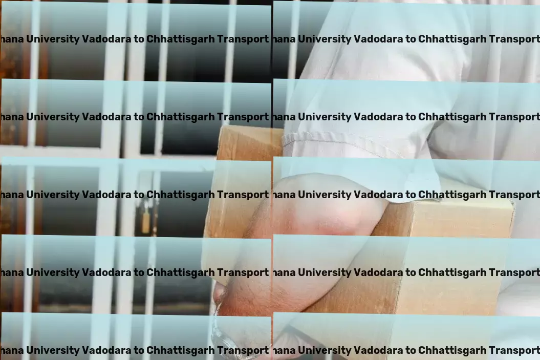 Navrachana University Vadodara to Chhattisgarh Packers And Movers Cross country transport