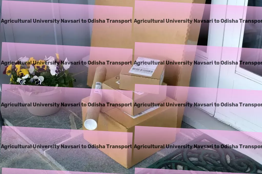 Navsari Agricultural University Navsari to Odisha Courier And Parcel Express furniture transport